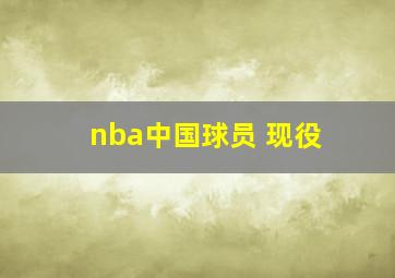 nba中国球员 现役